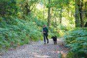 Eine Frau in Joggingbekleidung joggt mit ihrem schwarzen Hund auf einem Spazierweg im Wald Eine Frau in Joggingbekleidung joggt mit ihrem schwarzen Hund auf einem Spazierweg im Wald